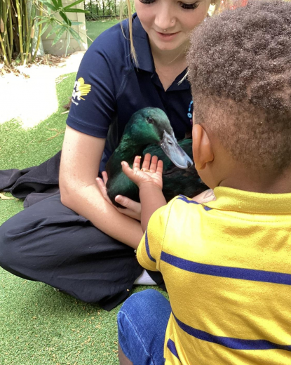 Perfect Start Crestmead- Feeding the Pet Duck